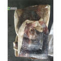 Fresh fillet giant squid wholesale price